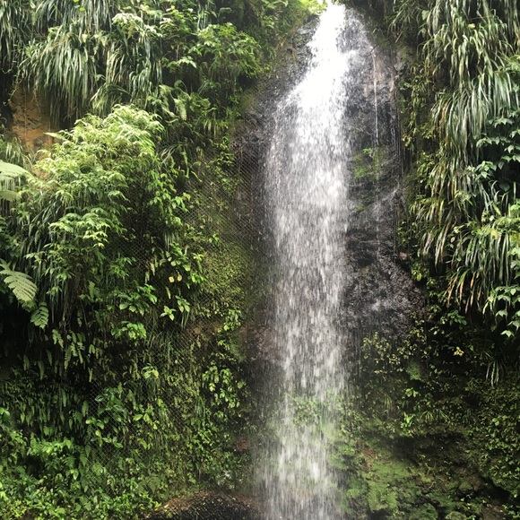 Meet your Posher, Z - Picture 1 of 1